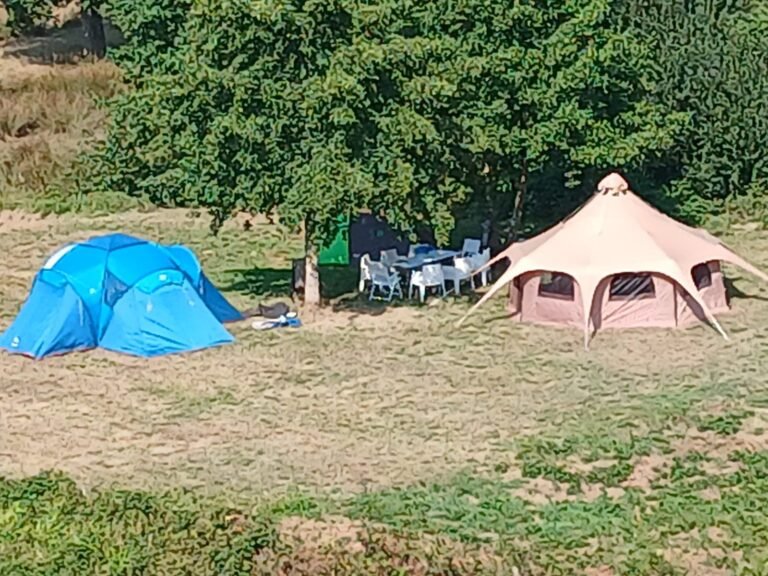 Tentes installées sous un grand arbre pour une retraite bien-être à Sourdeval (Manche)