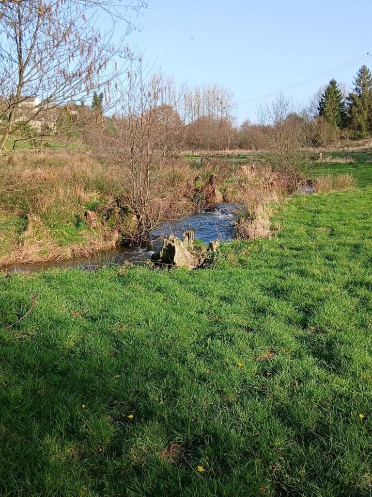 Rivière qui serpente dans la prairie, retraite en pleine nature en Normandie