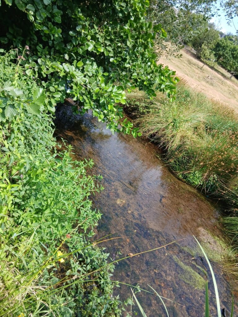 Ruisseau ombragé au bord du terrain de retraite à Sourdeval