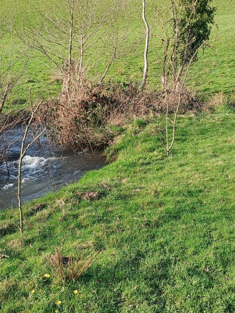 Bord de rivière au soleil sur le terrain de retraite à Sourdeval
